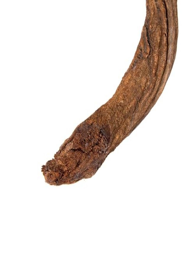 Galapagos (05312) Jungle Wood, Natural Brown, 3 Ft. - Image 4